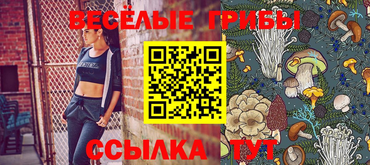 Псилоцибиновые грибы ЛСД Сосновый Бор