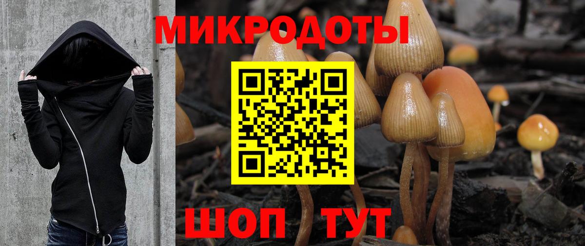 Псилоцибиновые грибы ЛСД  Вход с VPN  Сосновый Бор  Псилоцибиновые грибы GOLDEN TEACHER 